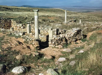 Ruina de una Casa en la Ciudad Ibérica Conquistada por Escipión Emiliano en 133 a.C.
